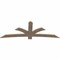 Ekena Millwork Davenport Smooth Timber Gable Bracket, Douglas Fir, 84"W x 31"H x 1 1/2"D x 5 1/2"F, 9/12 Pitch GBW084X31X0206DAV00SDF - alternate 4